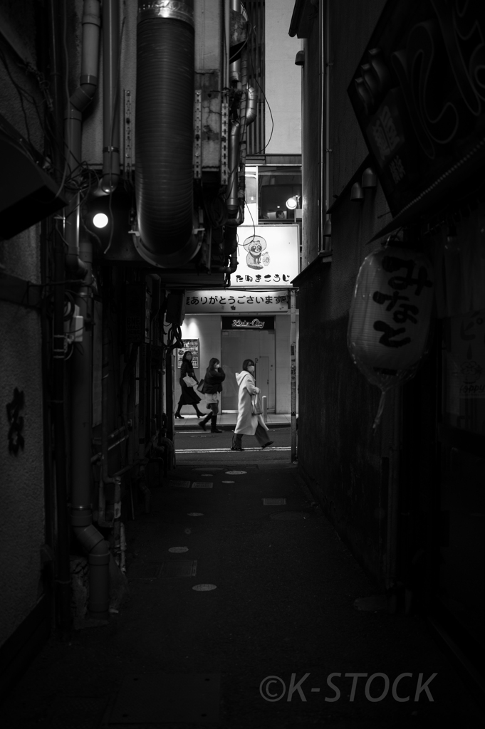 たぬきこうじ