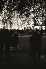 イルミネーション