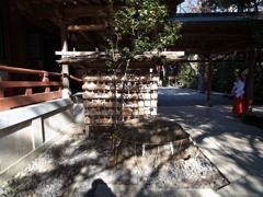 願い／大学入試センター試験