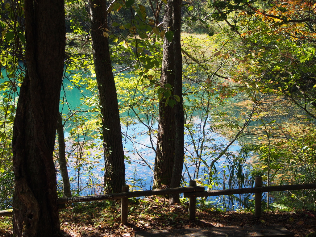 PA080593