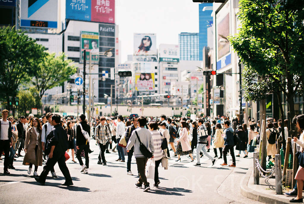 SHINJYUKU crossroad