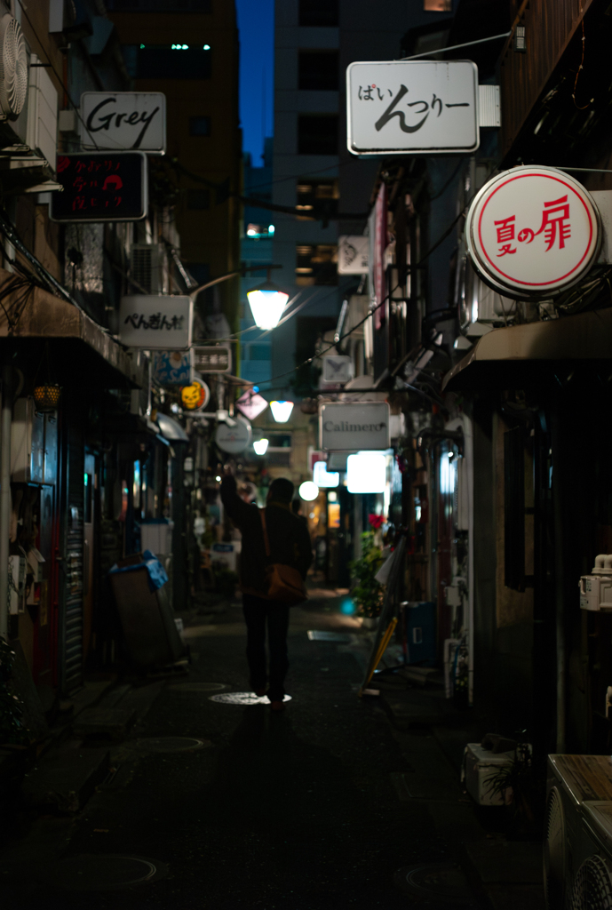 夏の扉