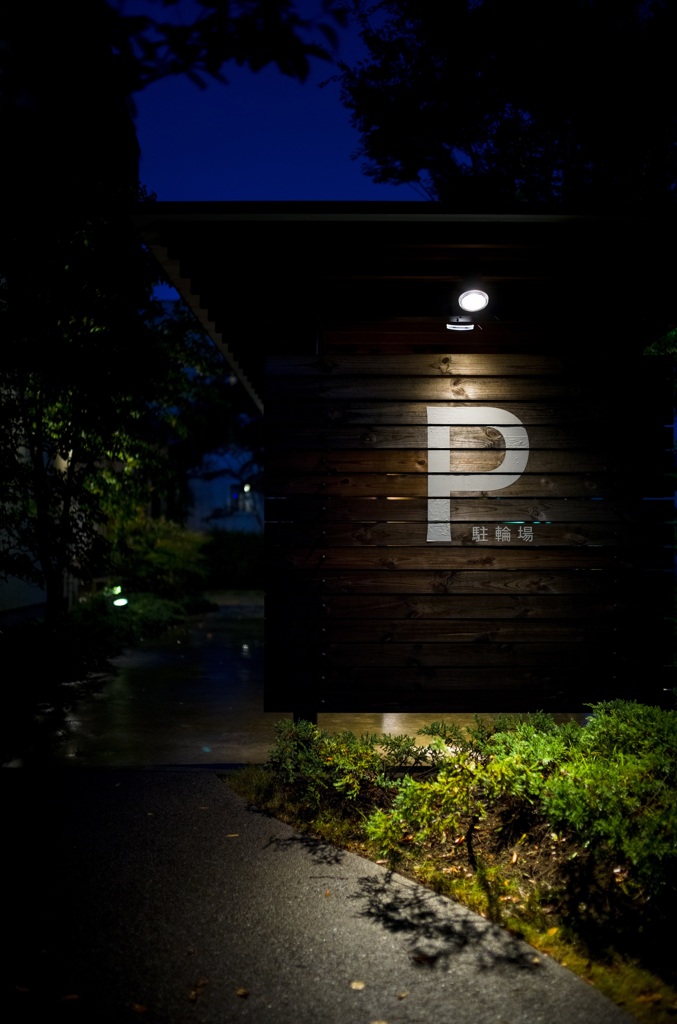 冷たい雨
