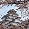 鶴ヶ城と桜