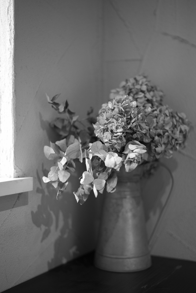 ドライフラワー