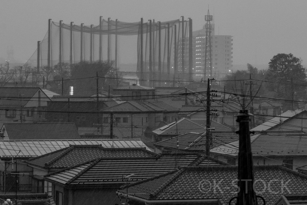 雨