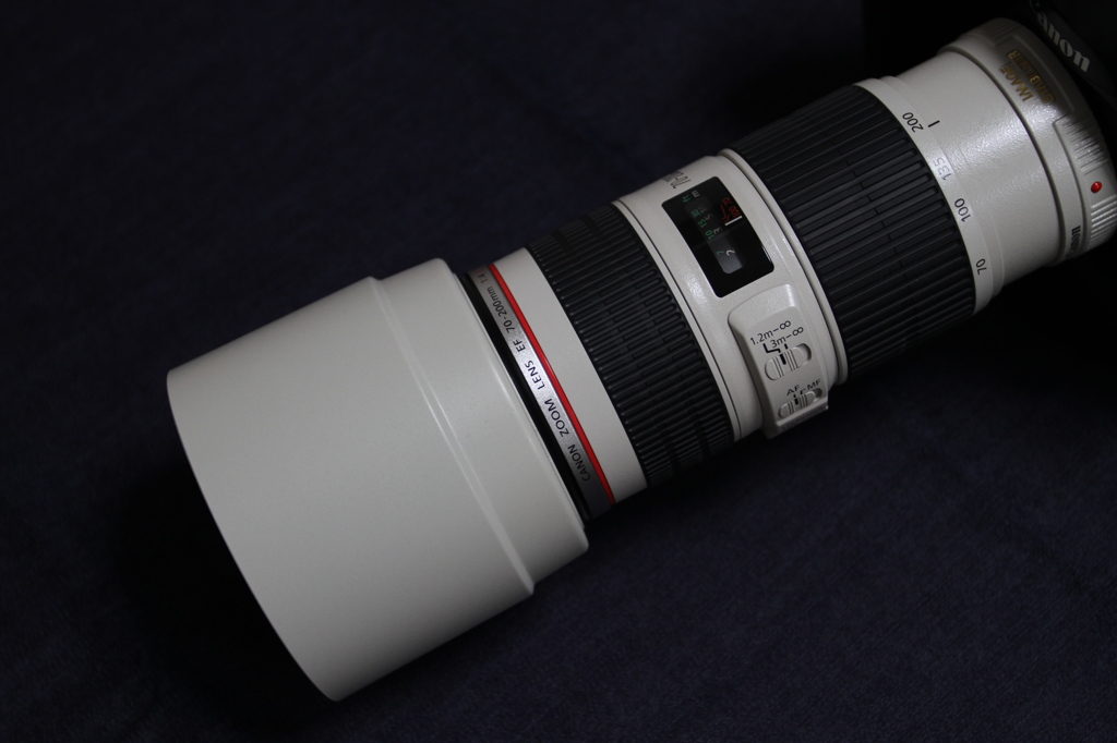 白玉には白フード