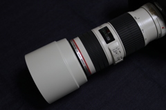 白玉には白フード