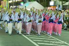 南越谷阿波踊り