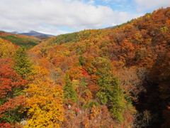 中津川渓谷