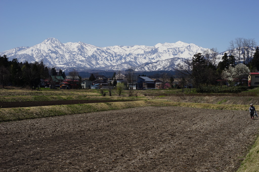 妙高山