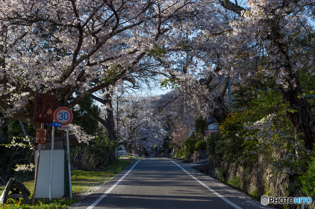 日本ロマンチック街道