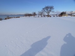雪原の足跡／白鳥浜