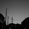 天体観測