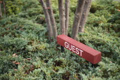 GUEST
