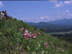Nikon F4 調整後試写