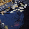 飯盛山／八重の桜