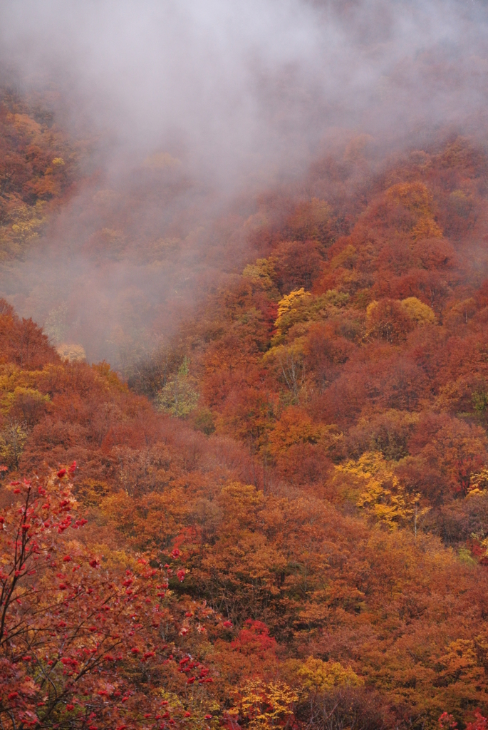 谷川岳山麓