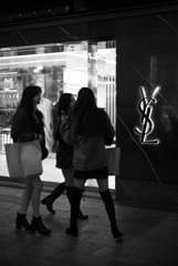 YSL
