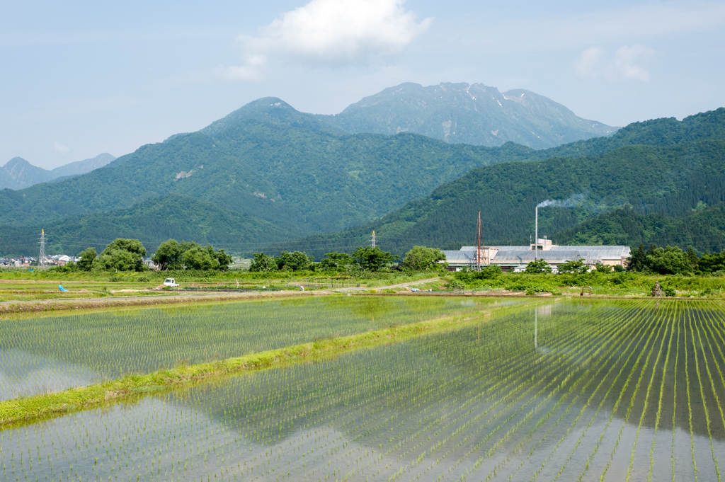 田植えと八海山
