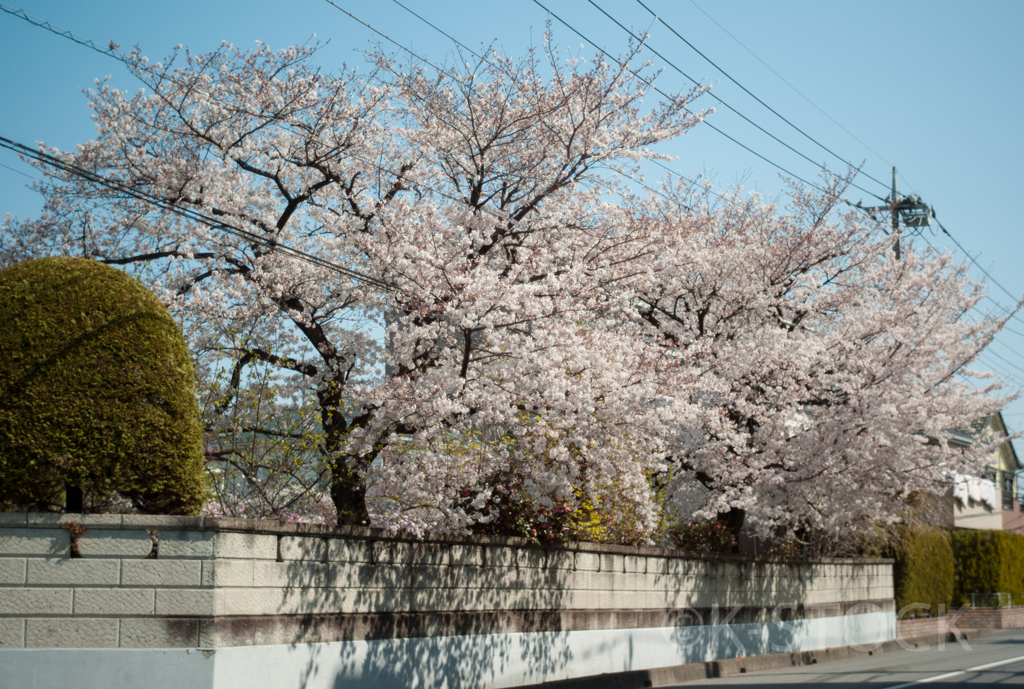 お屋敷