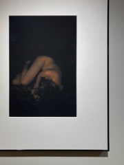 Leica GALLERY