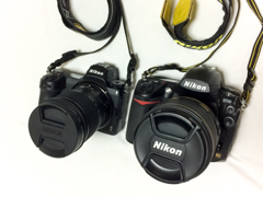 Nikon Z6比較