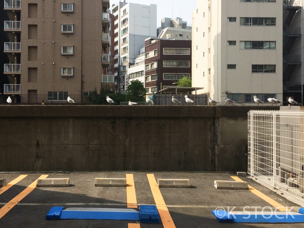 入社式