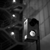 Signal