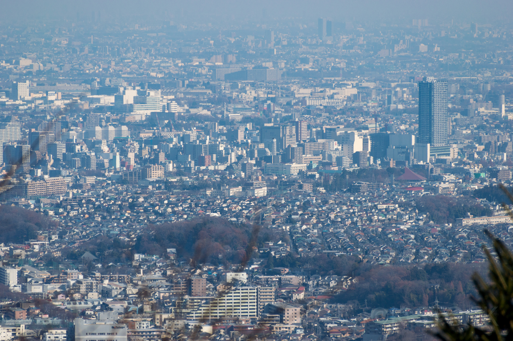 高尾山