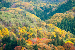 飯盛山の紅葉