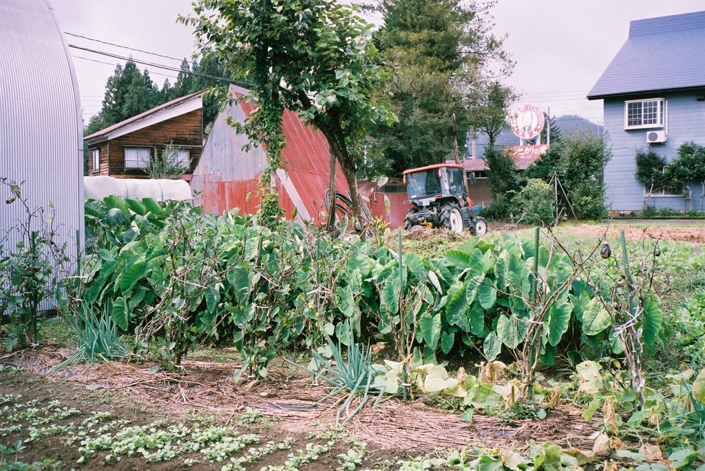 津南町