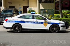 HONOLULU  POLICE