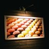 Midnight Photography