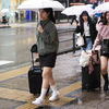 雨傘