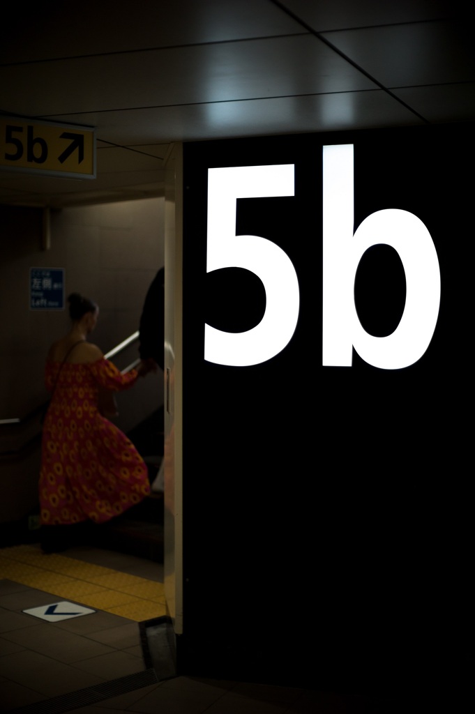 5b