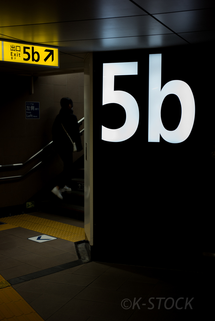 5b再び