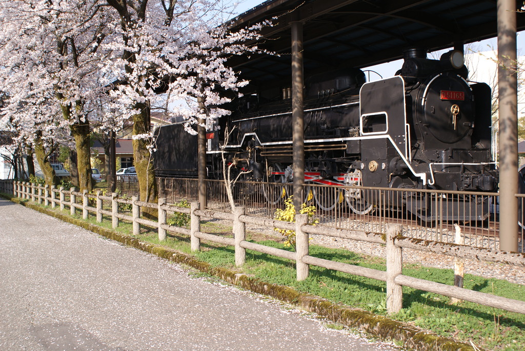 桜の木とＳＬ