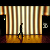 3B