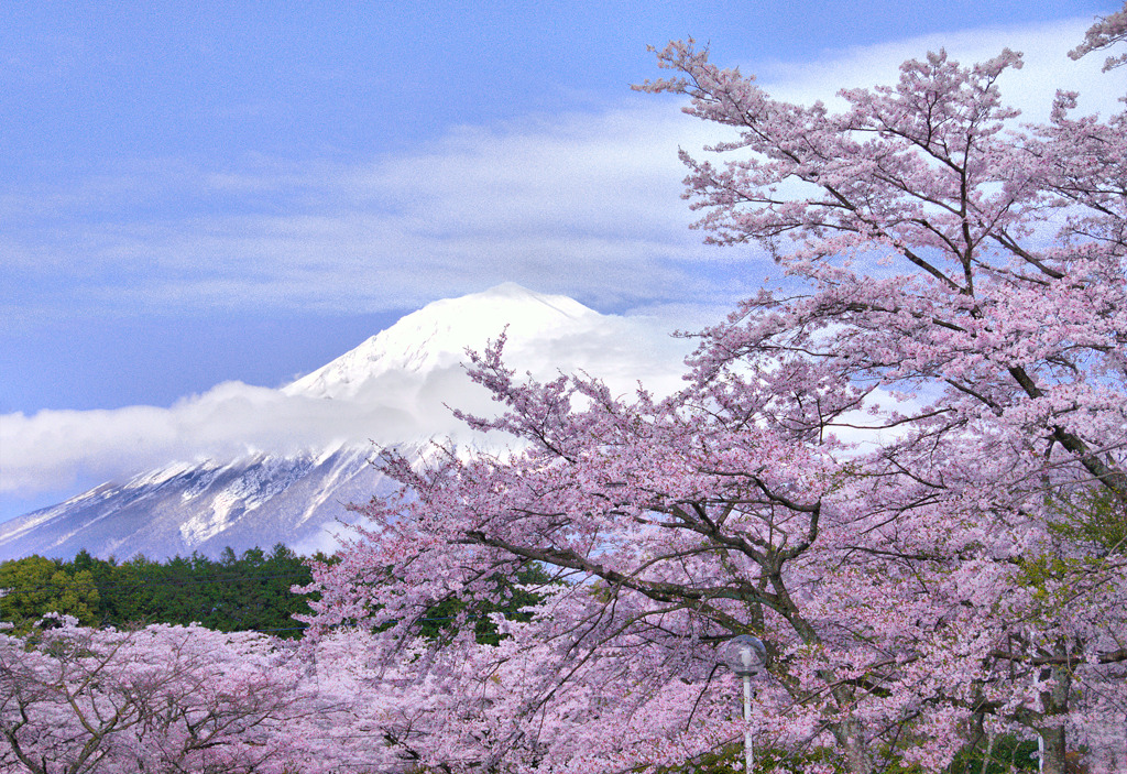 大石寺