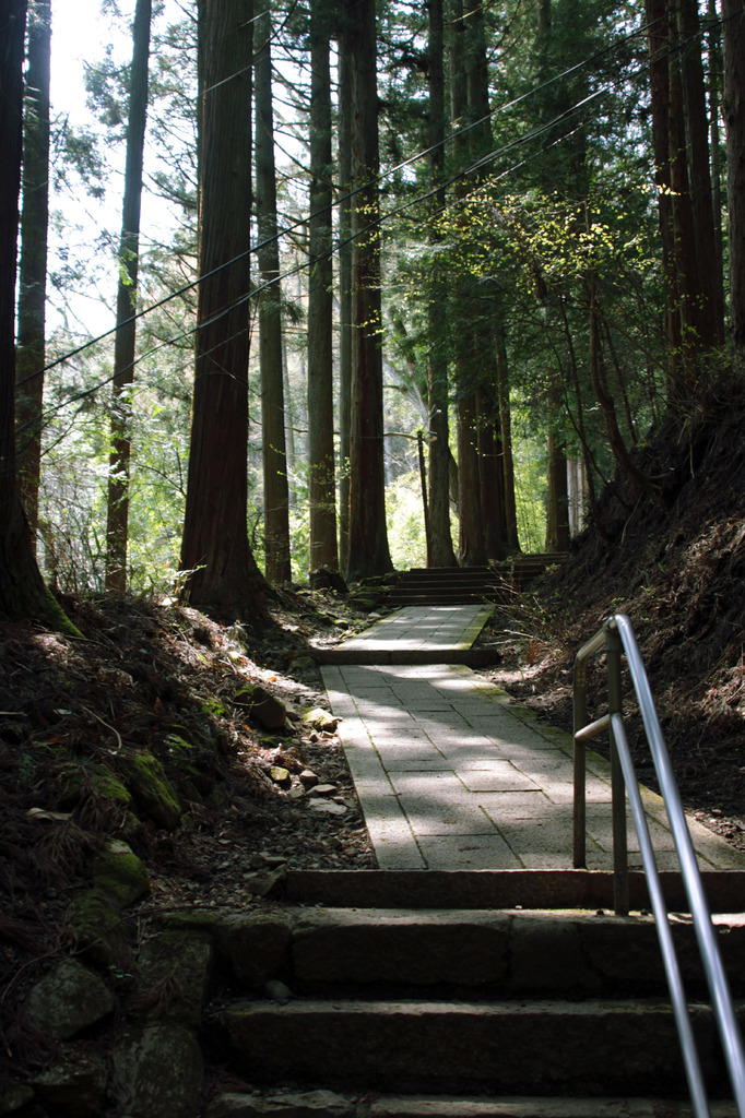 道・木・てすり