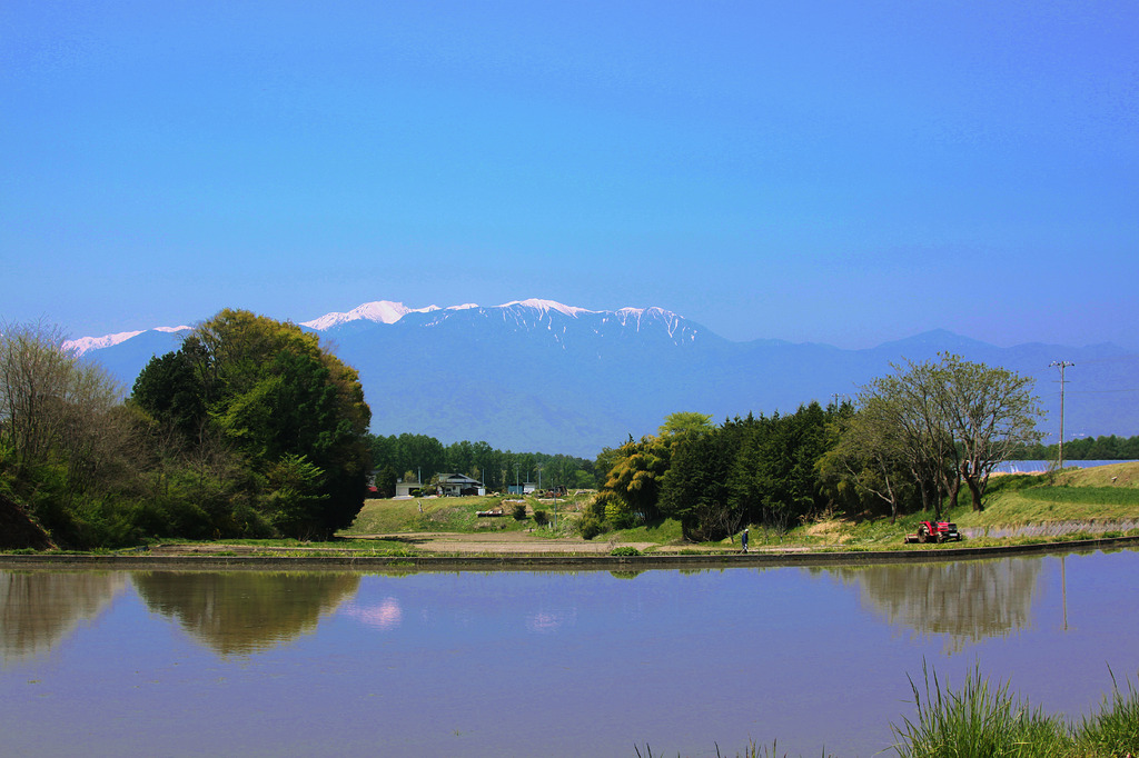 もうすぐ田植え