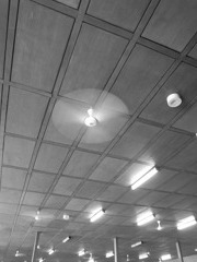 CEILING WITH A PROPELLER