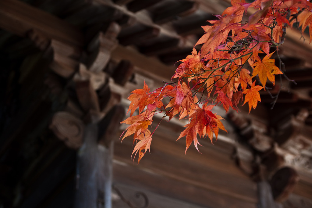 秋の東山寺