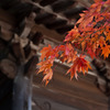 秋の東山寺