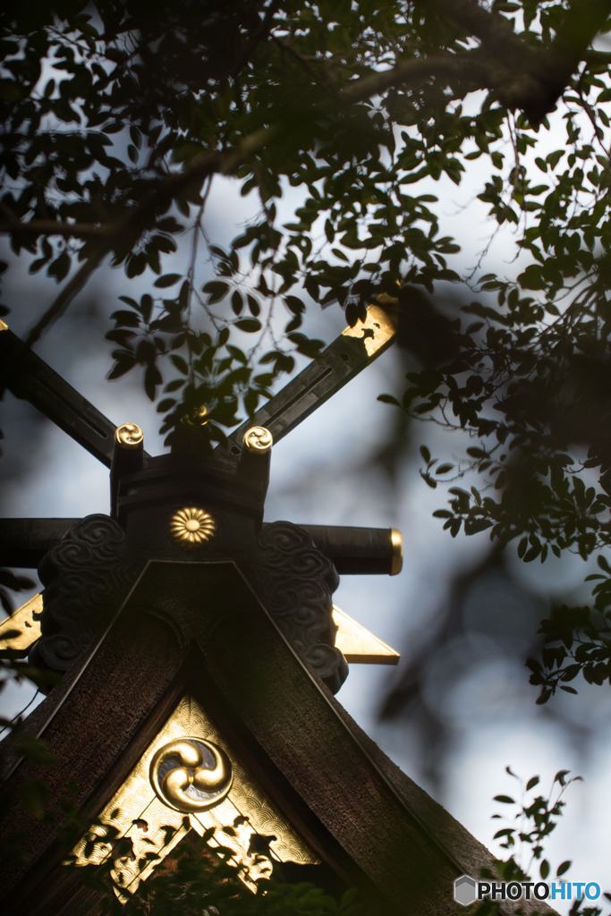 神社