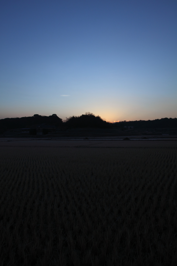 冬田の夜明け