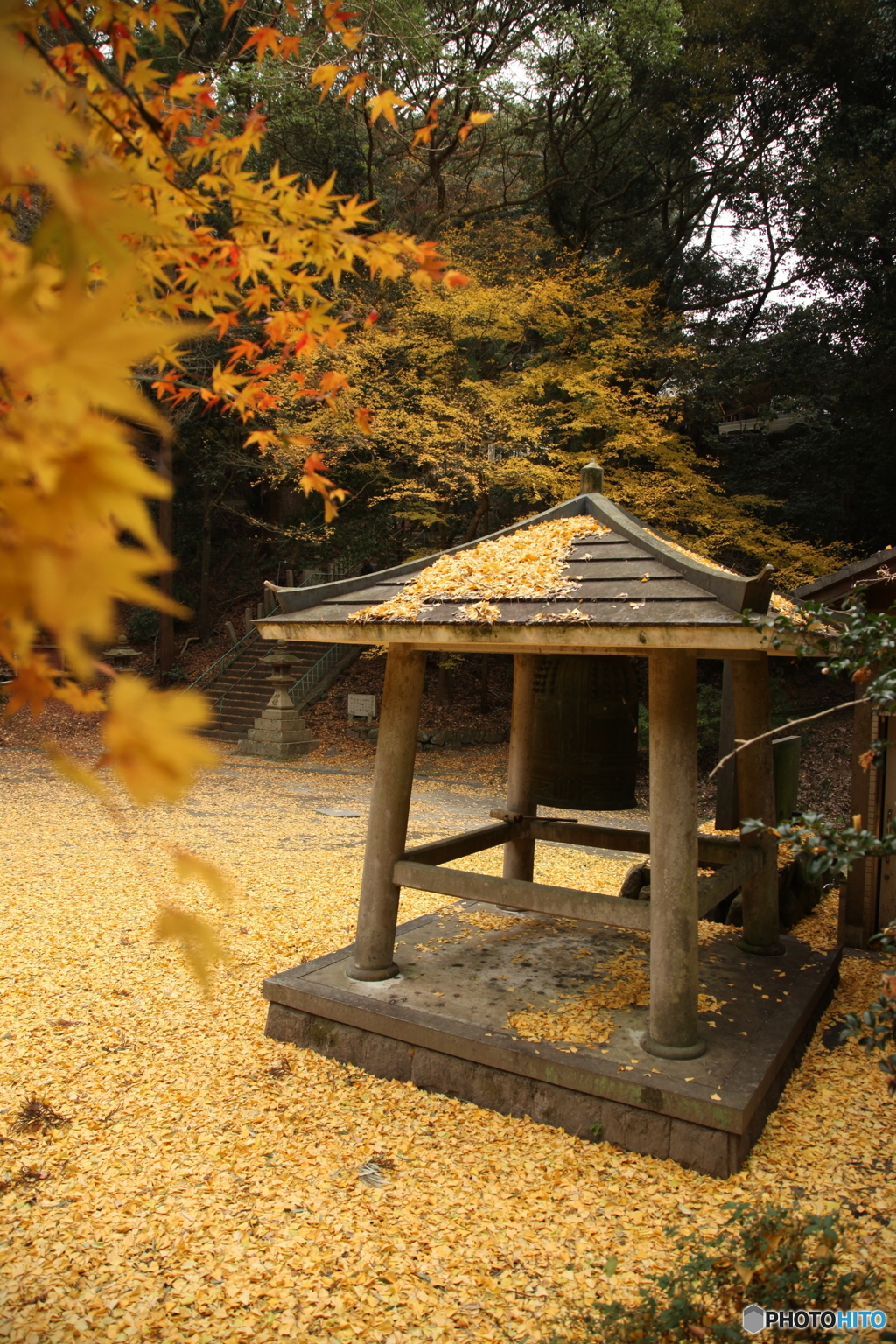 梵鐘に降る落葉
