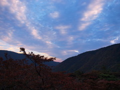 朝空