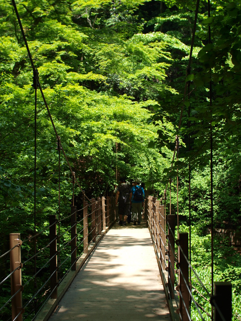 陽だまりの橋